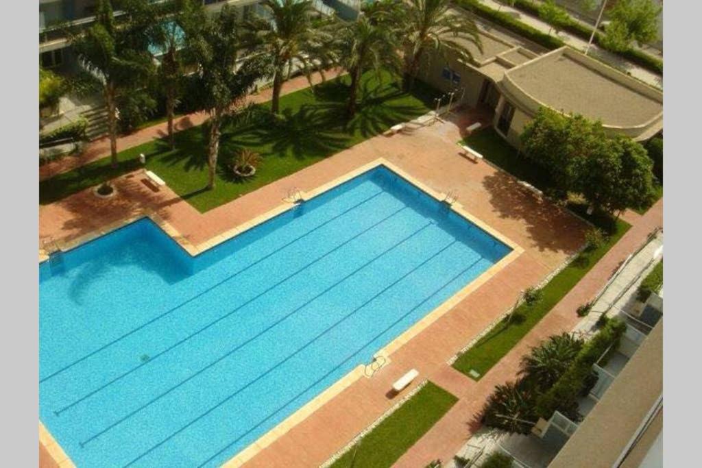 Apartamento Athenea Gandia Bagian luar foto