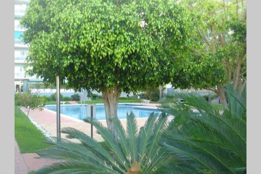 Apartamento Athenea Gandia Bagian luar foto